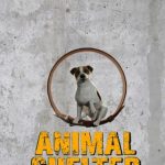 Cover de Animal Shelter PC 2022