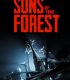 SONS OF THE FOREST ONLINE